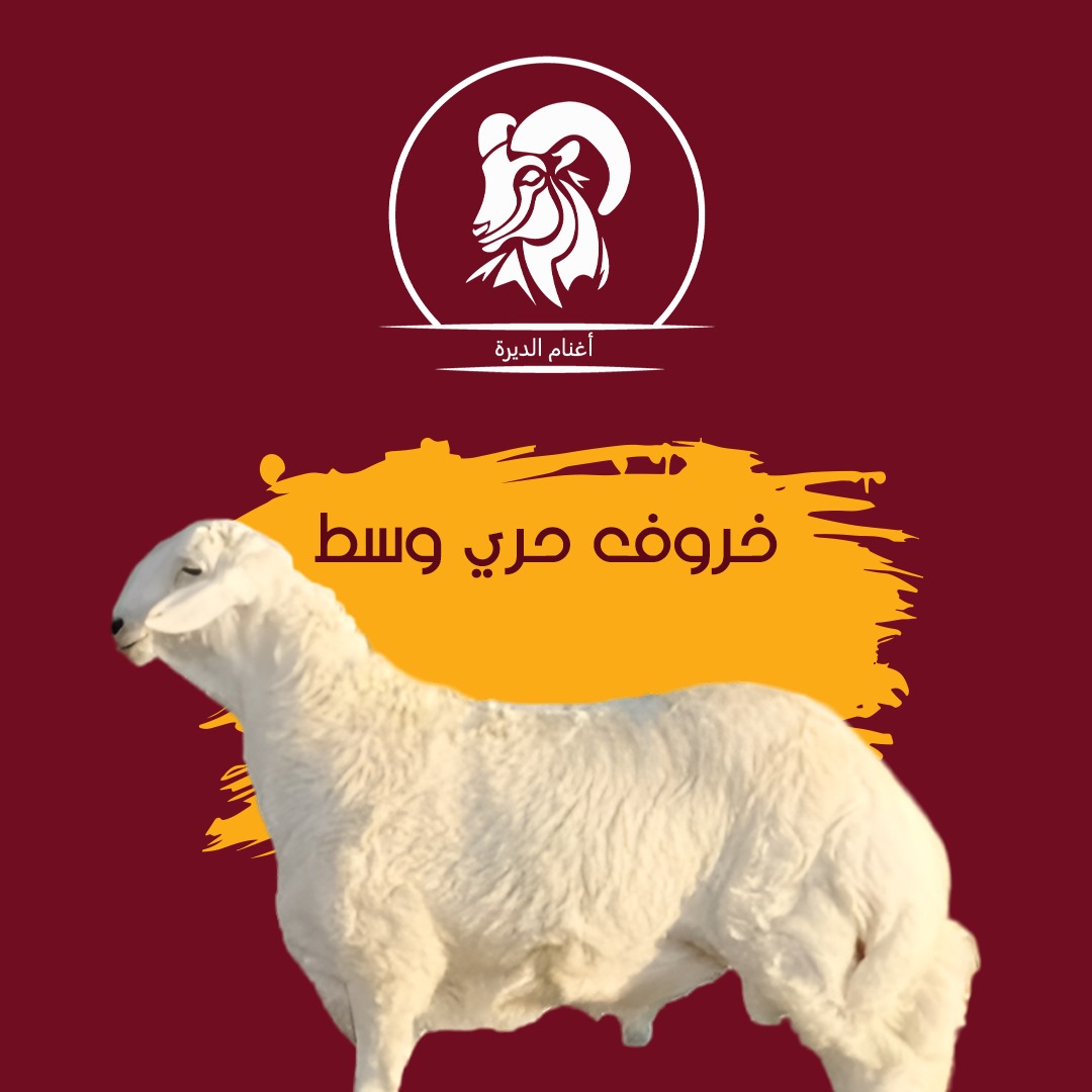 خروف حري جذع من 20 ك